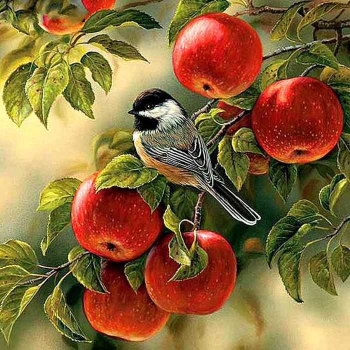 Red Apples 5D DIY Paint By Diamonds Kit - Paint by Diamond