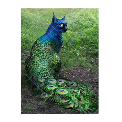 Peacock Cat 5D DIY Paint By Diamond Kit