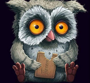 Hungry Owl 5D DIY Paint By Diamond Kit - Paint by Diamond
