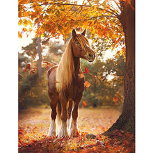 Horse & Autumn Maple Grove 5D DIY Paint By Diamond Kit - Paint by Diamond