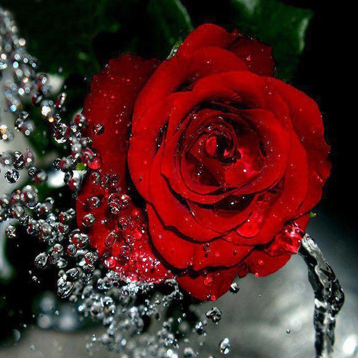 Red Rose 5D DIY Paint By Diamond Kit