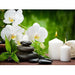 Orchid Candles Stones 5D DIY Diamond Painting - Paint by Diamond