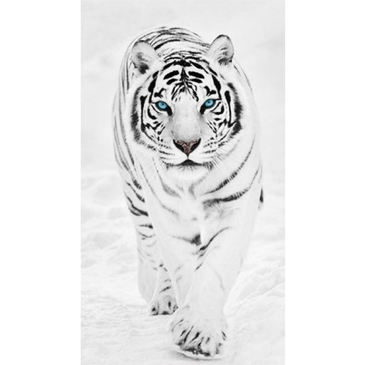 White Tiger 5D DIY Paint By Diamond Kit - Paint by Diamond