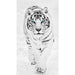 White Tiger 5D DIY Paint By Diamond Kit - Paint by Diamond