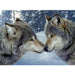 Lover Wolf 5D DIY Paint By Diamond Kit - Paint by Diamond