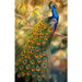 Peacock Embroidery 5D DIY Paint By Diamond Kit - Paint by Diamond