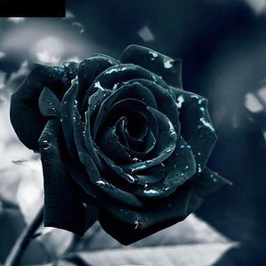 Black Beauty Rose 5D DIY Paint By Diamond Kit