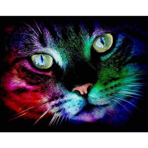 Colorful Cat 5D DIY Paint By Diamond Kit