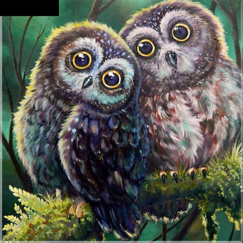Double Owl 5D DIY Paint By Diamond Kit