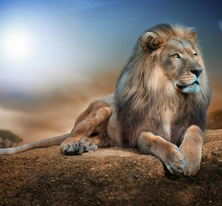 Desert Lion 5D DIY Paint By Diamonds Kit - Paint by Diamond