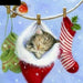 Christmas Kitten 5D DIY Paint By Diamond Kit - Paint by Diamond