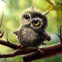 Cute Baby Owl 5D DIY Paint By Diamond Kit - Paint by Diamond