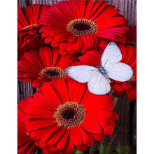 Red Daisies Butterfly 5D DIY Paint By Diamond Kit - Paint by Diamond