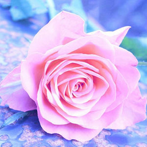 Pink Roses 5D DIY Paint By Diamond Kit - Paint by Diamond