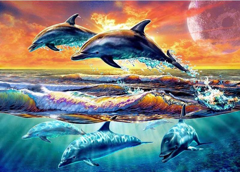Dolphin Sunset 5D DIY Paint By Diamond Kit
