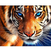 Charming Tiger 5D DIY Paint By Diamond Kit - Paint by Diamond