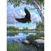 Animals Eagle Rainbow 5D DIY Paint By Diamond Kit - Paint by Diamond