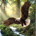 Soaring Eagle 5D DIY Paint By Diamond Kit - Paint by Diamond