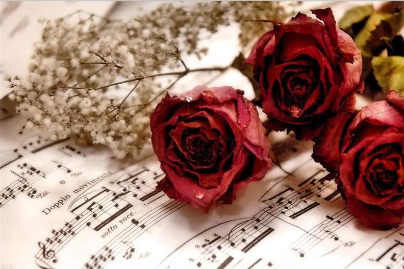 Red Roses & Music Notes 5D DIY Paint By Diamond Kit