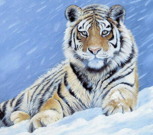 Tiger in the Snow 5D DIY Paint By Diamond Kit