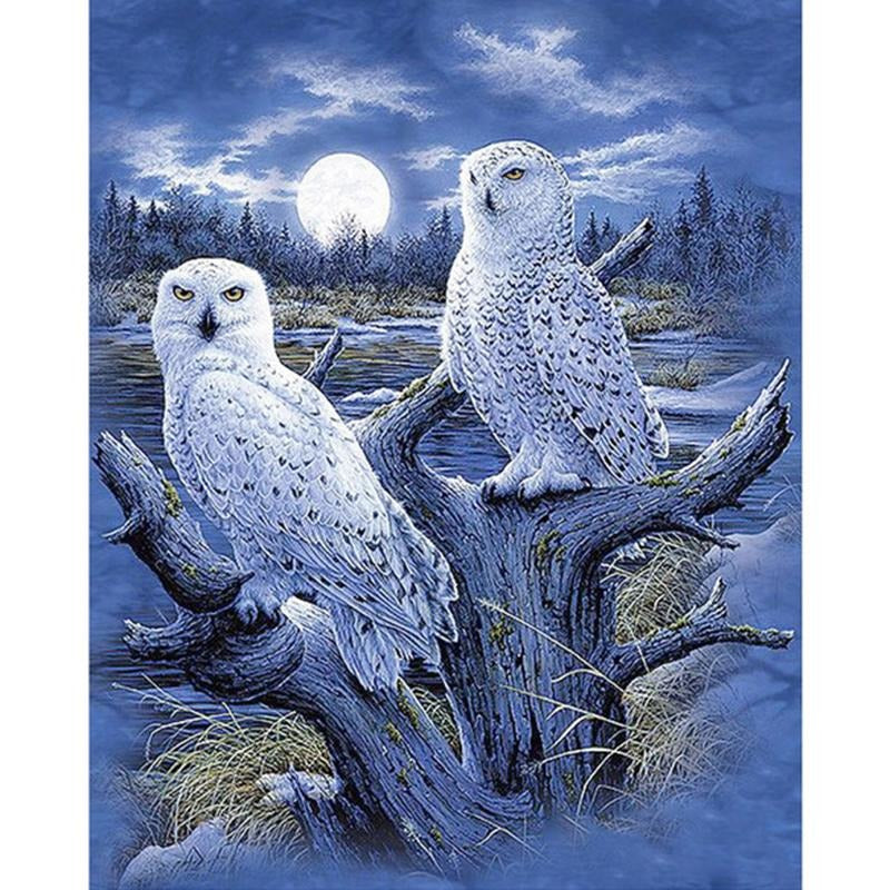 White Owl 5D DIY Paint By Diamond Kit - Paint by Diamond