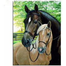 Horse Couple 5D DIY Paint By Diamond Kit - Paint by Diamond