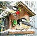 Snow Bird 5D DIY Paint By Diamond Kit - Paint by Diamond