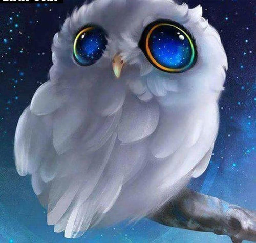 Owl In The Night Sky 5D DIY Paint By Diamond Kit