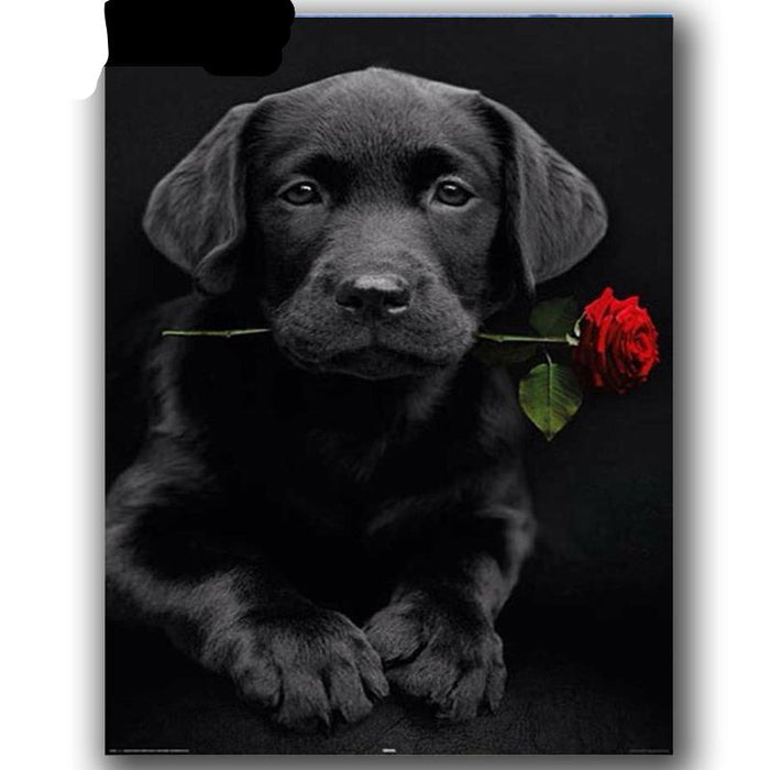 Black Dog Rose 5D DIY Paint By Diamond Kit