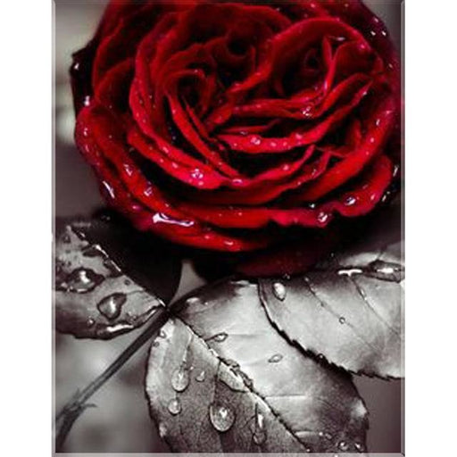 Floating Rose 5D DIY Paint By Diamond Kit - Paint by Diamond