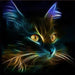 Diy square drill diamond painting cross stitch mosaics Full cover embroidery animal Light black cat face diamond embroidery xsh - Paint by Diamond