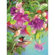 Hummingbird 5D DIY Paint By Diamond Kit