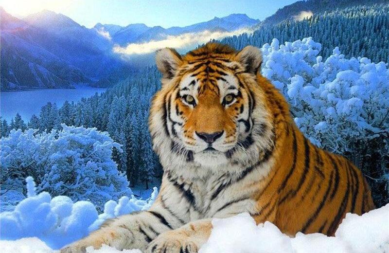 Snow Tiger 5D DIY Paint By Diamond Kit