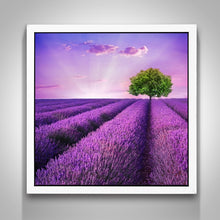 5D DIY Diamond Painting "lavender fields" Embroidery Full Square Diamond Cross Stitch Rhinestone Mosaic Painting Home Decor Gift - Paint by Diamond