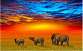 Sunset Animals 5D DIY Paint By Diamond Kit - Paint by Diamond