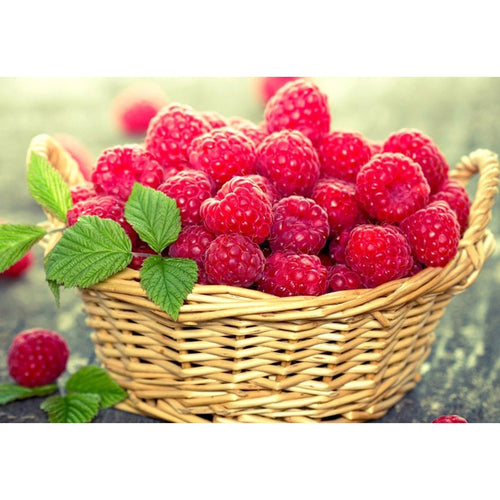 Raspberry Basket 5D DIY Paint By Diamond Kit