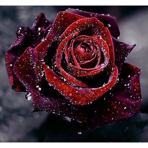 Beautiful Black Rose 5D DIY Paint By Diamond Kit - Paint by Diamond