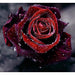 Beautiful Black Rose 5D DIY Paint By Diamond Kit - Paint by Diamond