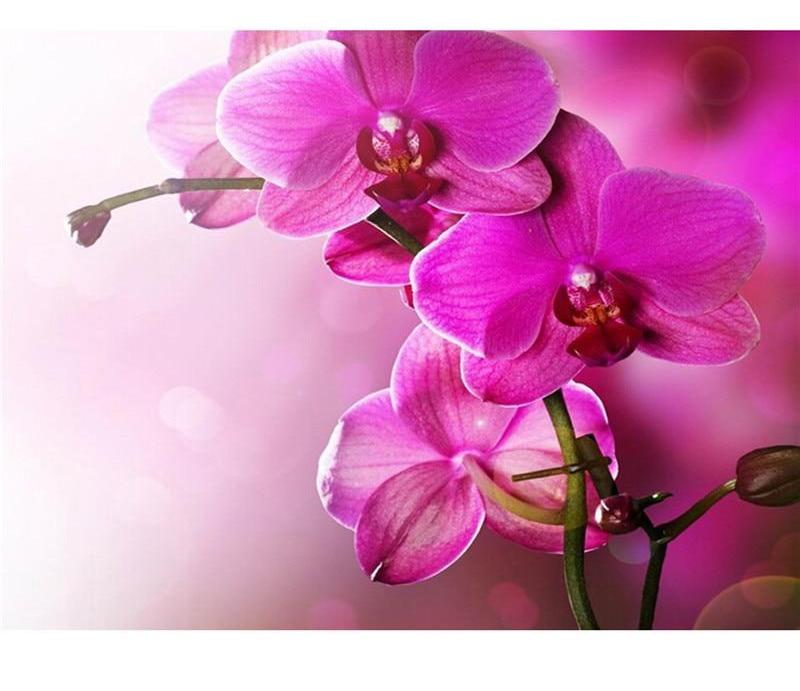 Pink Orchids 5D DIY Paint By Diamond Kit