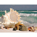 Sea Shell & Starfish 5D DIY Paint By Diamond Kit - Paint by Diamond