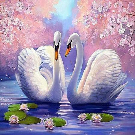 Swans At Ease 5D DIY Paint By Diamond Kit - Paint by Diamond