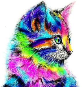 Rainbow Kitten 5D DIY Paint By Diamond Kit - Paint by Diamond