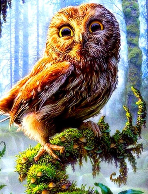 OWL 5D DIY Paint By Diamond Kit - Paint by Diamond