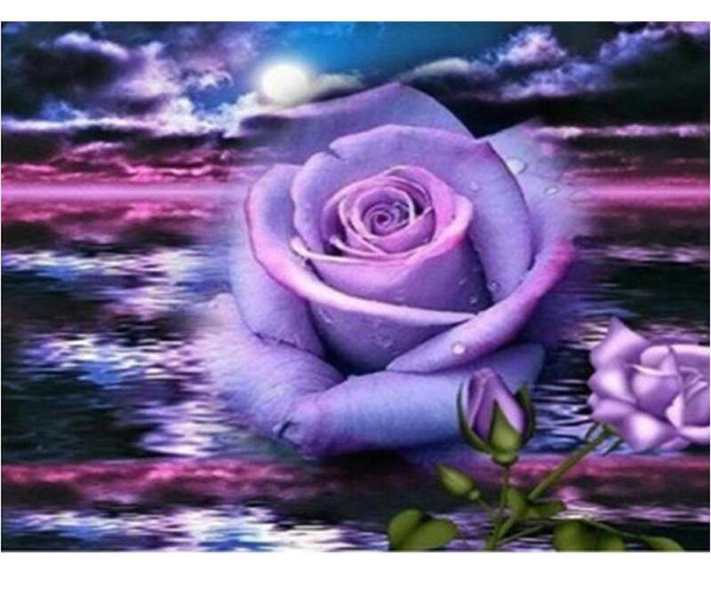 Purple Roses Flower 5D DIY Paint By Diamond Kit