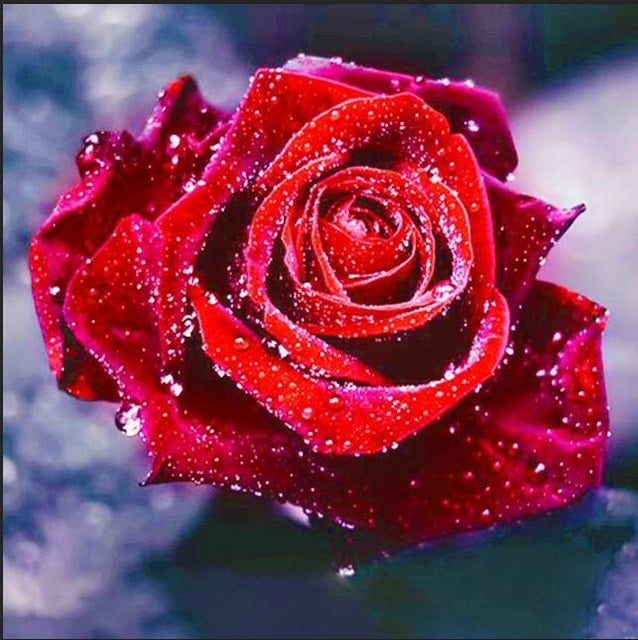 Red Rose 5D DIY Paint By Diamond Kit - Paint by Diamond