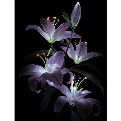 Purple Lily 5D DIY Paint By Diamond Kit - Paint by Diamond