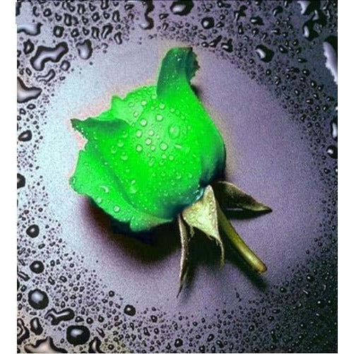 Green Fluorescent Flower 5D DIY Paint By Diamond Kit - Paint by Diamond