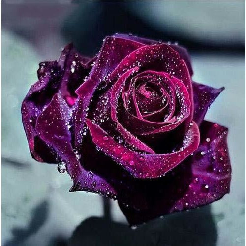 Rose Fluorescent Flower 5D DIY Paint By Diamond Kit - Paint by Diamond