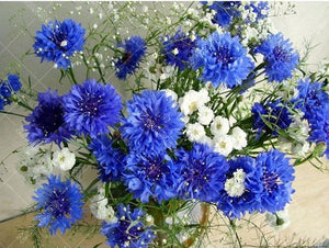 White & Blue Flowers 5D DIY Paint By Diamond Kit