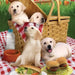 Cute Puppies 5D DIY Paint By Diamond Kit - Paint by Diamond